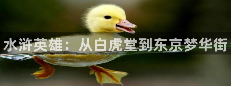 飞飞漫画官方入口